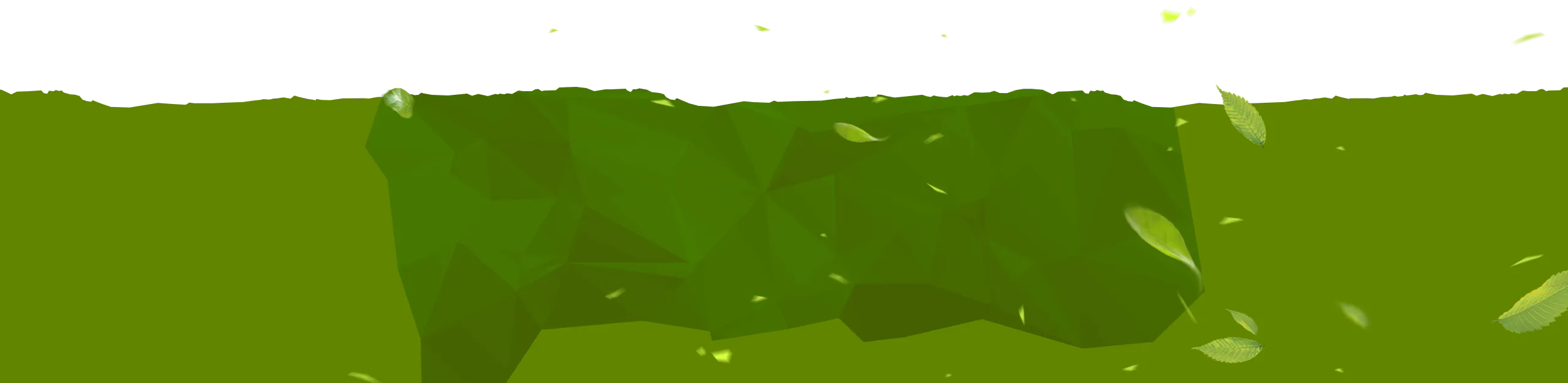 Фоновое изображение подвала сайта