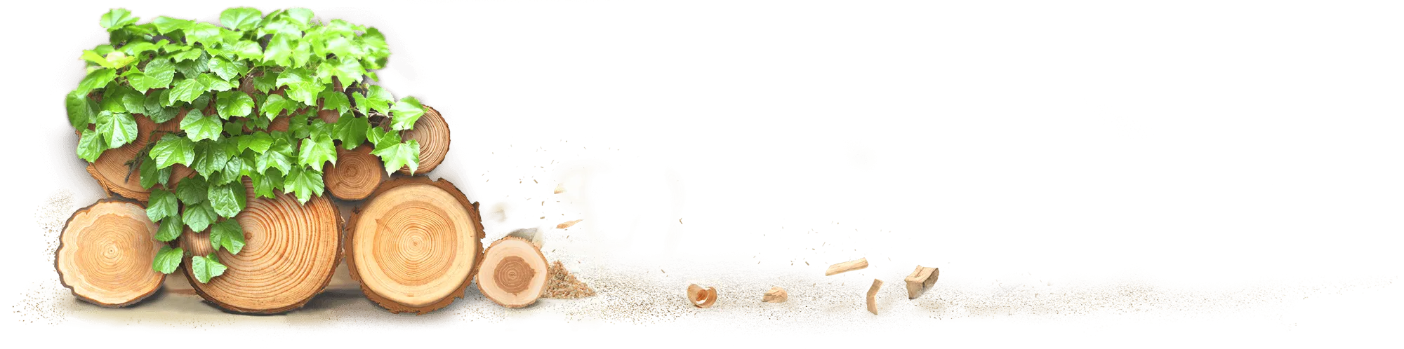 Декоративное изображение растения